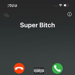 Super Bitch