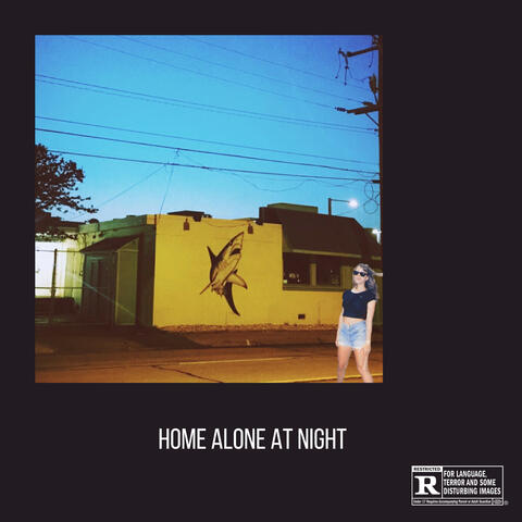 Home Alone At Night