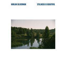 Stillness is Beautiful