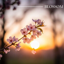 Blossom