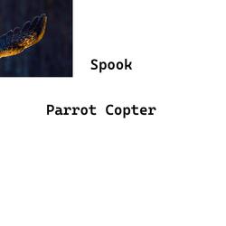 Parrot Copter
