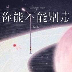 你能不能别走