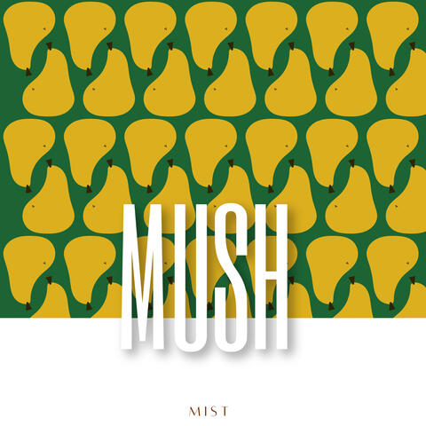 Mist
