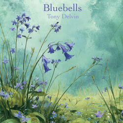 Bluebells