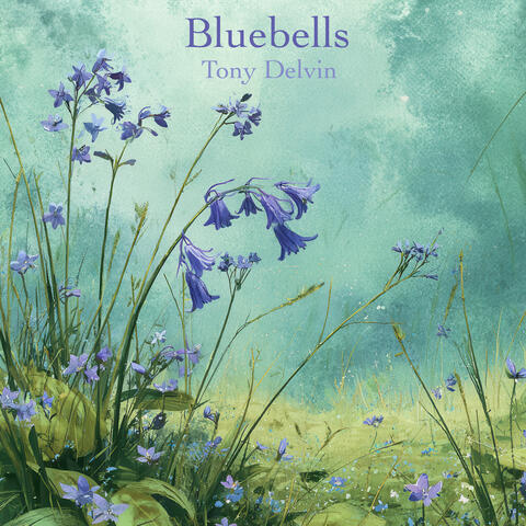Bluebells
