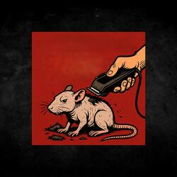 shave the rats