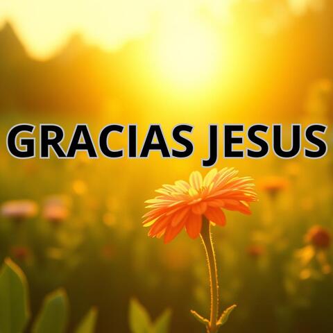 GRACIAS JESUS