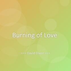 Burning of Love