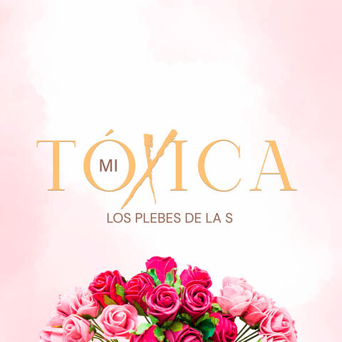 Mi Toxica