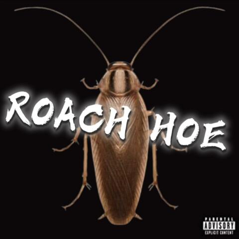 ROACH HOE