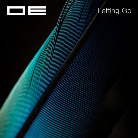Letting Go (Suchness 6)