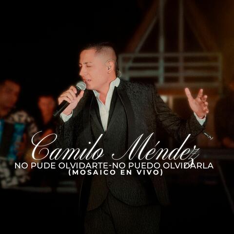 No Pude Olvidarte - No Puedo Olvidarla