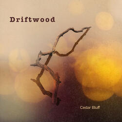 Driftwood