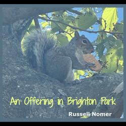 An Offering in Brighton Park