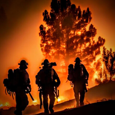 Fighting Fire In The Wild