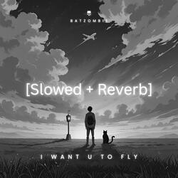 I want u to fly