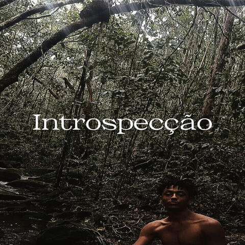Introspecção
