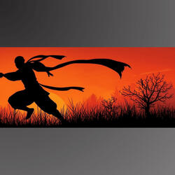 The Way of the Ninja