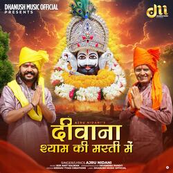 दीवाना श्याम की मस्ती में