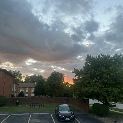 relapse / intoxication