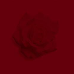 drop it to the floor