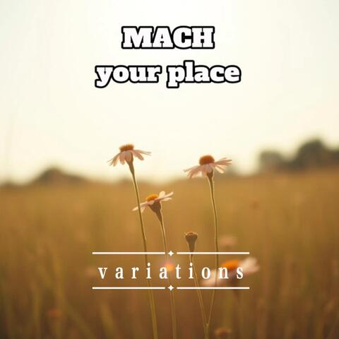 your place