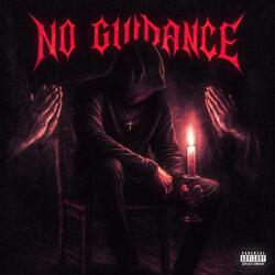 No Guidance