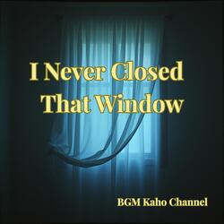 I Never Closed That Window