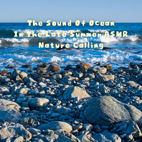 The Sound Of Ocean In The Late Summer ASMR