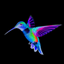 La Lumière Dans Les Fissures