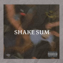 Shake Sum