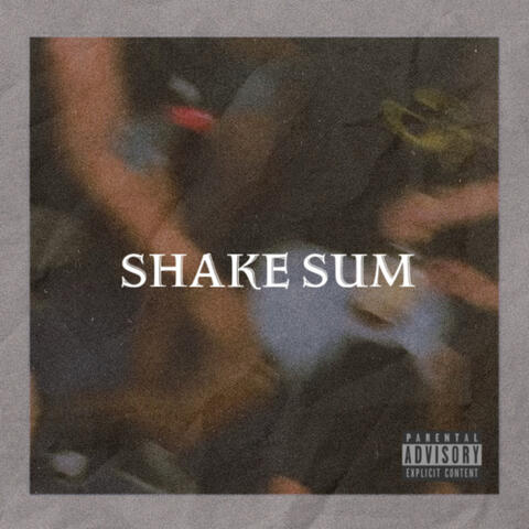 Shake Sum