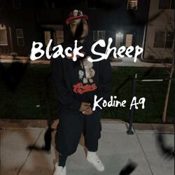 Black Sheep