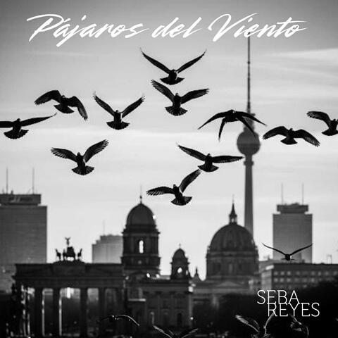 Pájaros del Viento