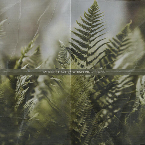 Whispering Ferns