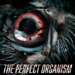The Perfect Organism (Suffer)
