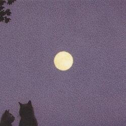 ilysmbidkhttybikydlmb