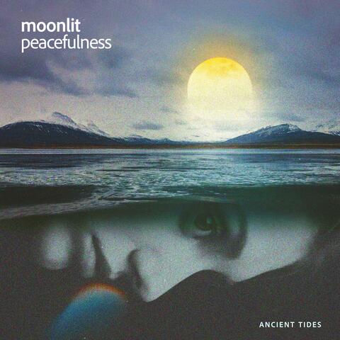 Moonlit Peacefulness