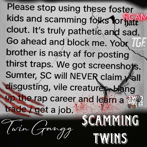 Scamming Twins