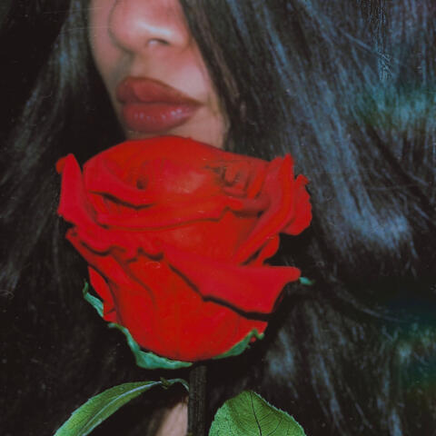 Volvieras a Mi