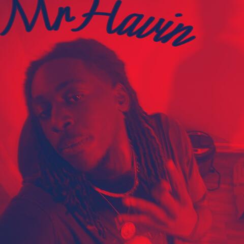 Mr.Havin