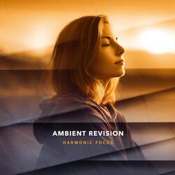 Ambient Revision