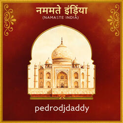 नमस्ते इंडिया (Namaste India)