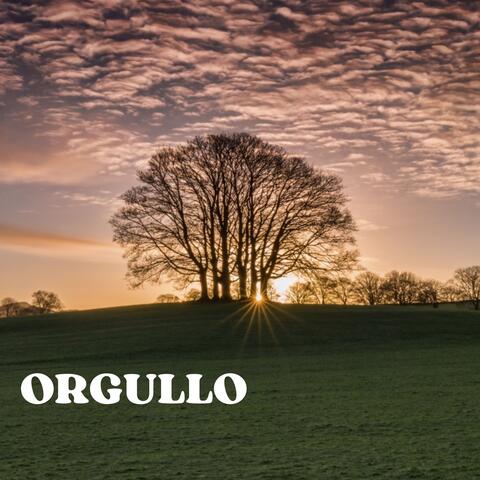 Orgullo