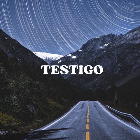 Testigo