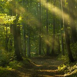 Falling asleep on a rainy day