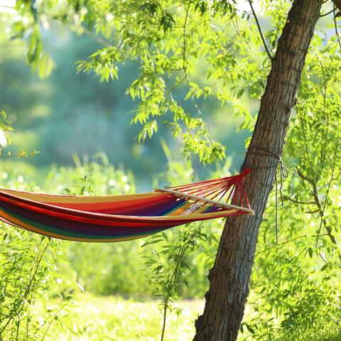 Forest Hammock for Calming Your Mind Chill Piano for Sleep