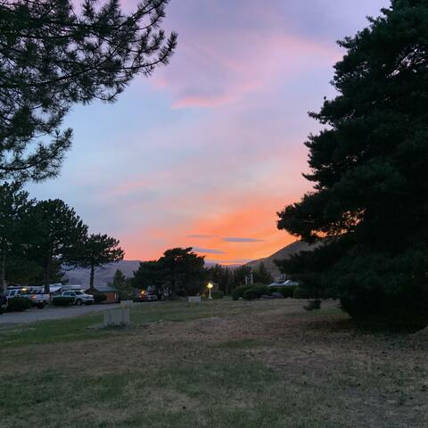 Saxophone On The Beach