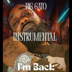 I'm Back (Instrumental)
