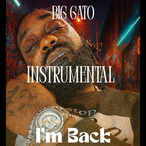 I'm Back (Instrumental)